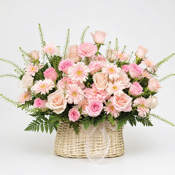 Blush Serenity