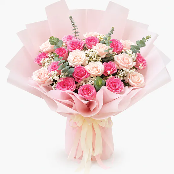 Soft Reverie Elegance