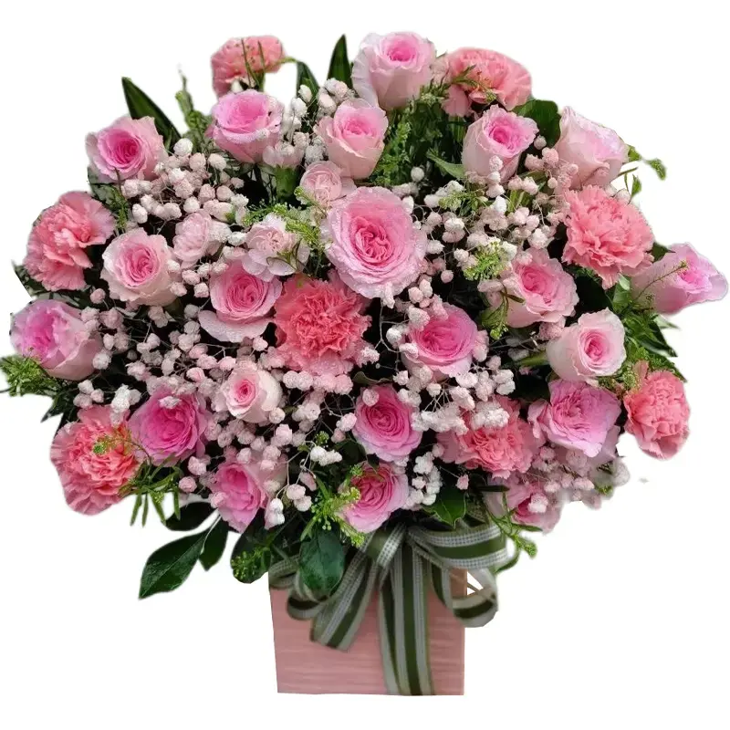 Pink Whisper Elegance