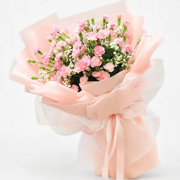 Tender Pink Whispers