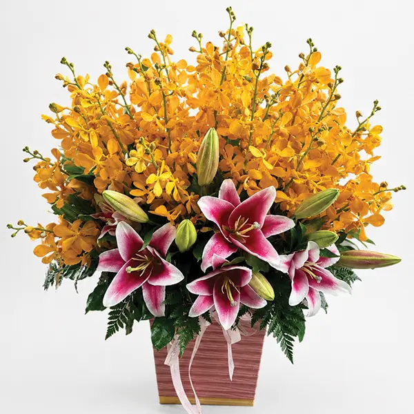Golden Orchids & Fuchsia Lilies Harmony