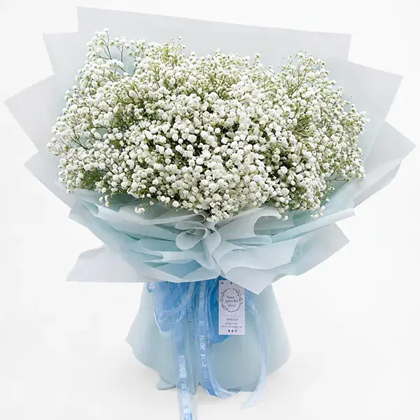 Frosty Cloud Baby's Breath