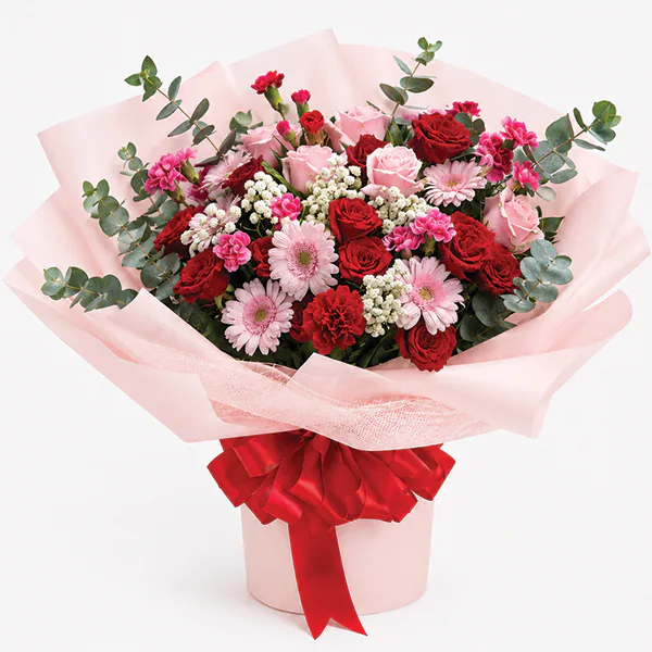 Crimson Serenade & Blush Embrace