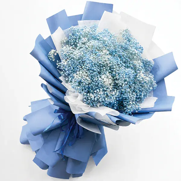 Sapphire Sky Baby's Breath